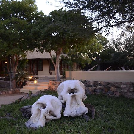 Kambaku Safari Lodge Reserva Timbavati Exterior foto