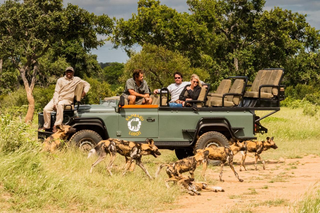 Kambaku Safari Lodge Reserva Timbavati Exterior foto