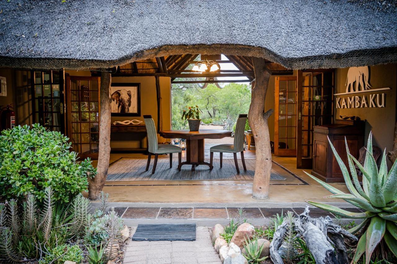 Kambaku Safari Lodge Reserva Timbavati Exterior foto