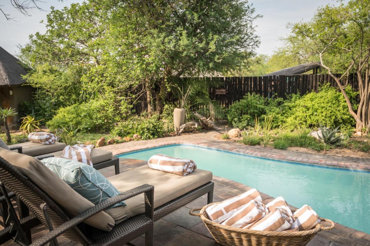 Kambaku Safari Lodge Reserva Timbavati Exterior foto
