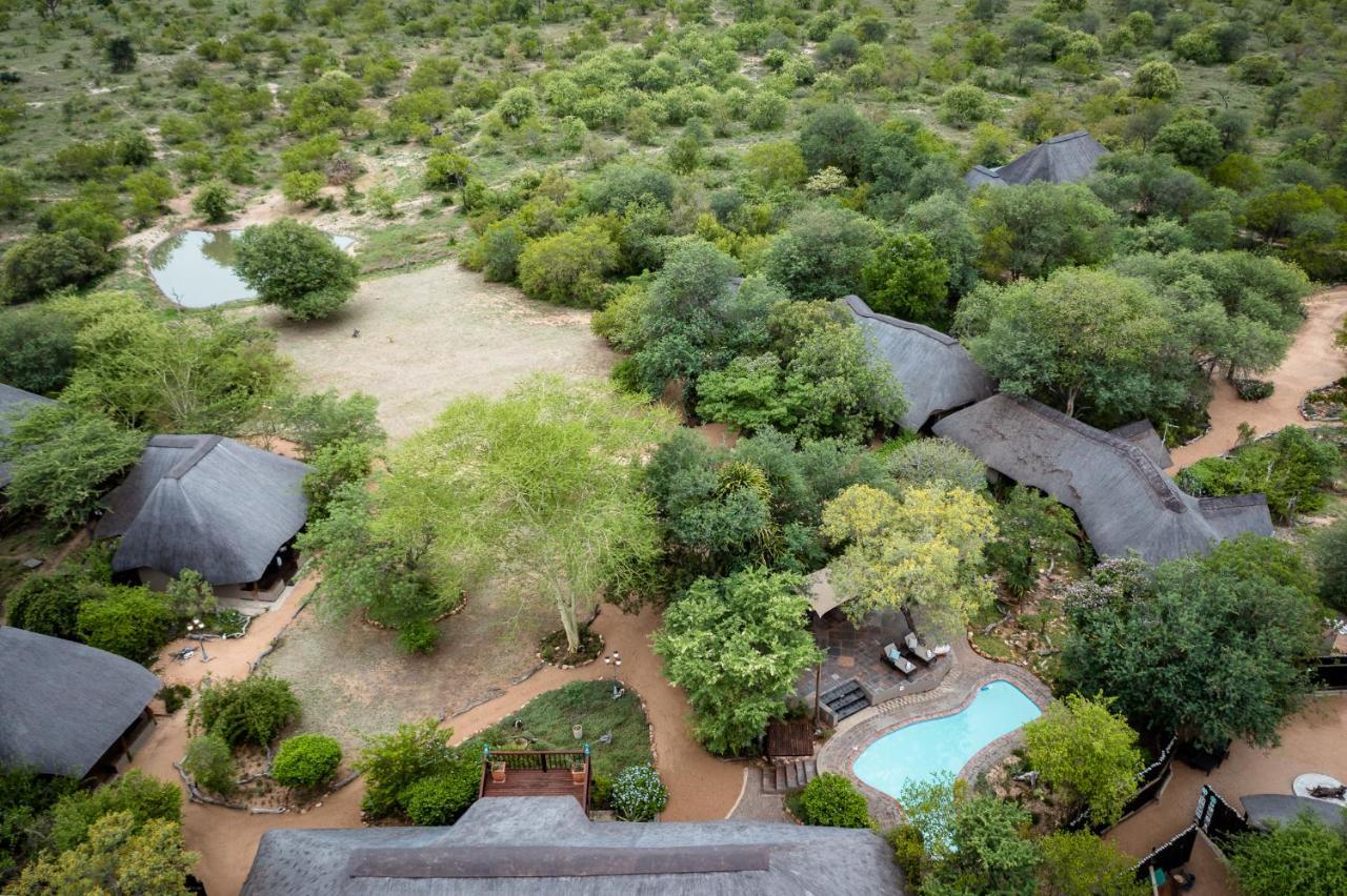 Kambaku Safari Lodge Reserva Timbavati Exterior foto